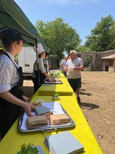 Service du repas train saveurs