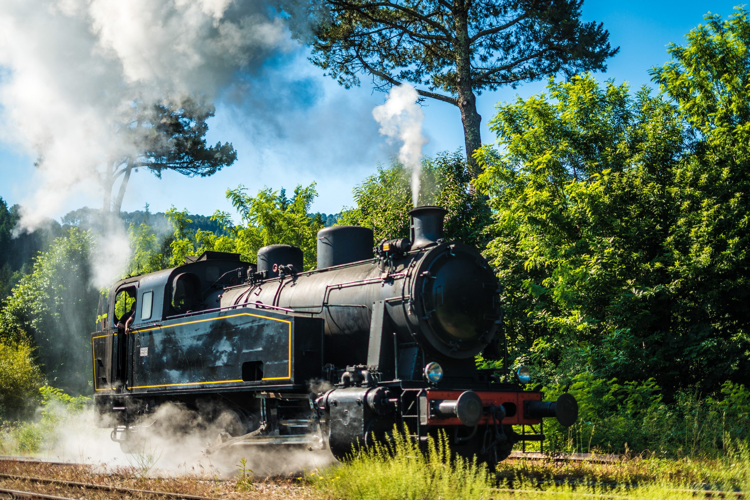 Train à Vapeur Des Cévennes
